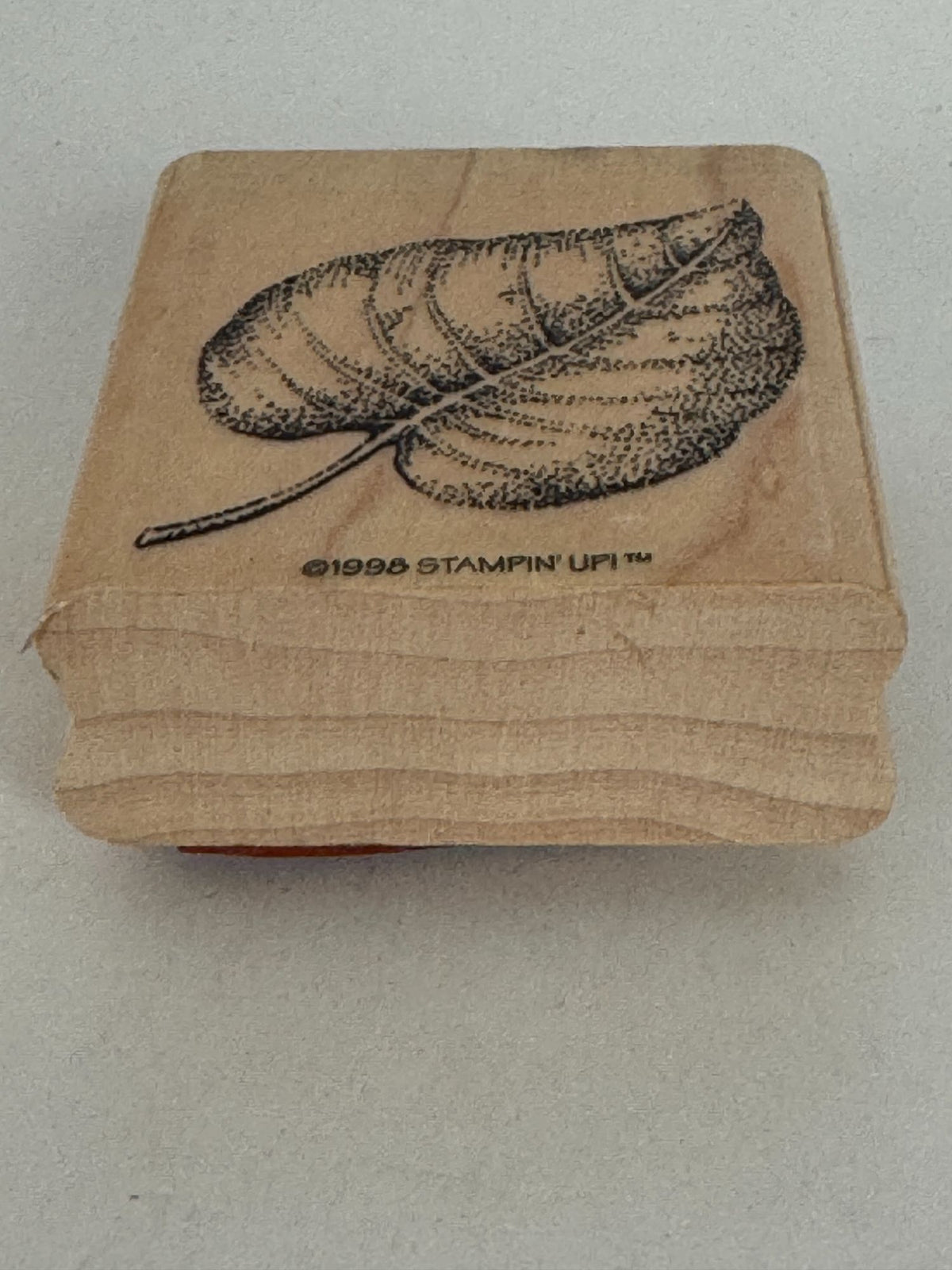 Stampin Up Rubber Stamp Fern Leaf Fall Foliage Nature Outdoors Card Making Craft