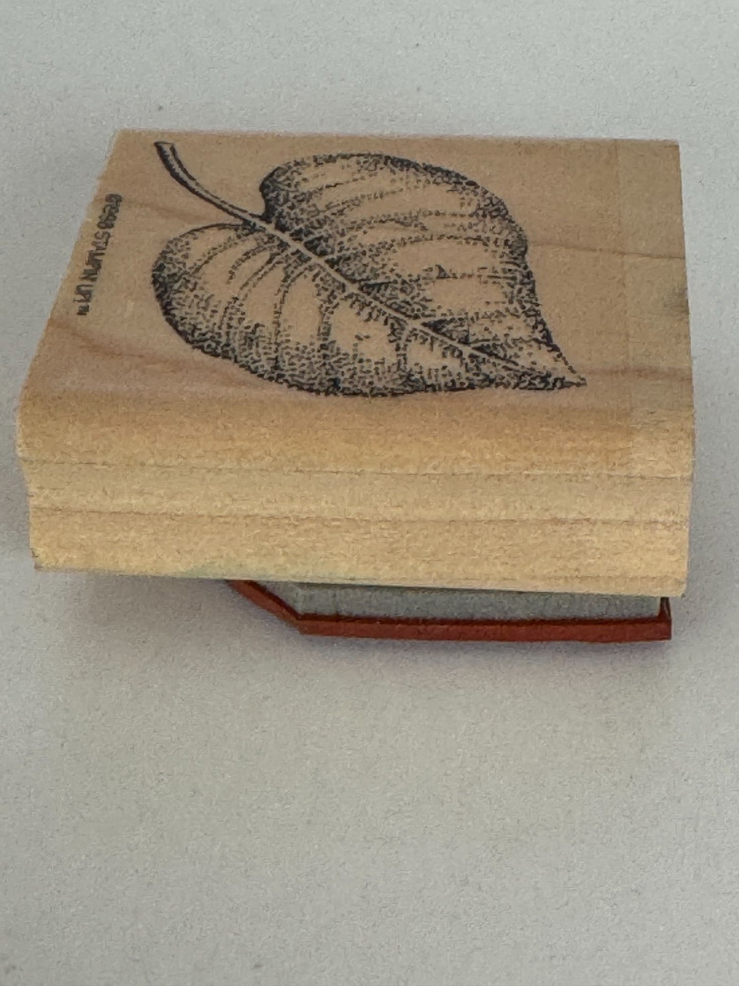 Stampin Up Rubber Stamp Fern Leaf Fall Foliage Nature Outdoors Card Making Craft