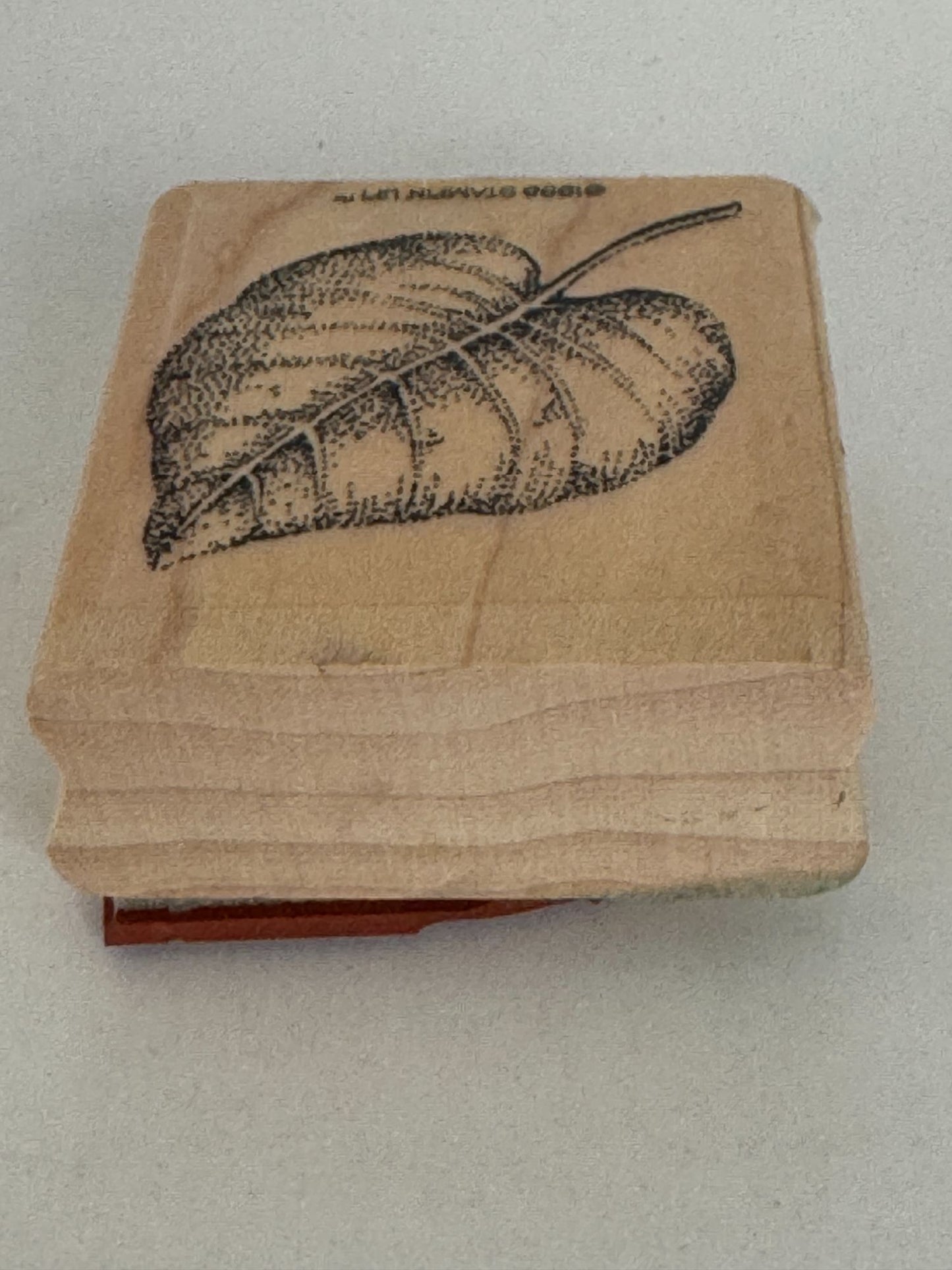 Stampin Up Rubber Stamp Fern Leaf Fall Foliage Nature Outdoors Card Making Craft