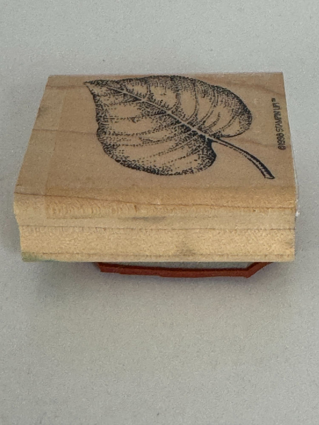 Stampin Up Rubber Stamp Fern Leaf Fall Foliage Nature Outdoors Card Making Craft