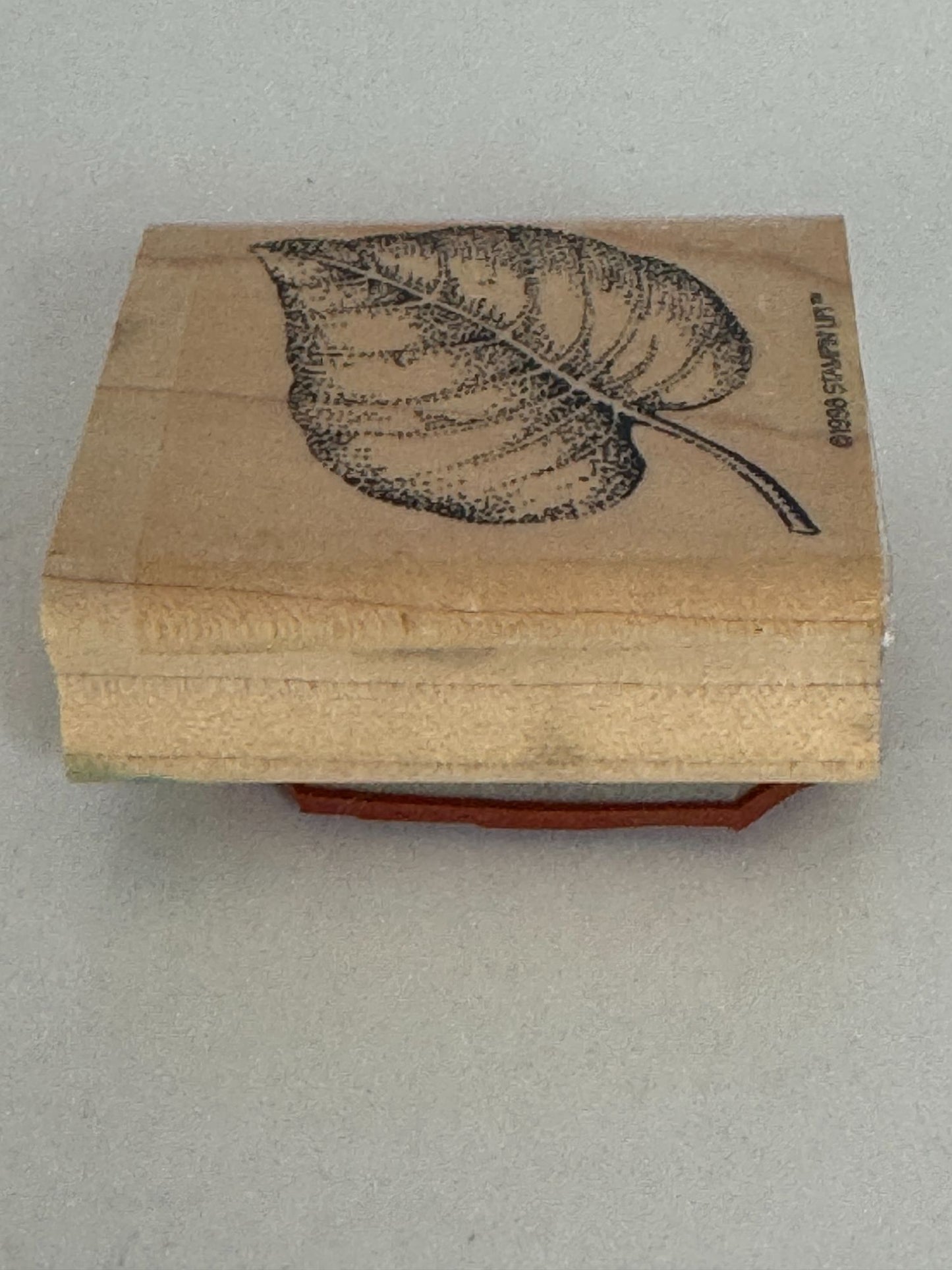 Stampin Up Rubber Stamp Fern Leaf Fall Foliage Nature Outdoors Card Making Craft