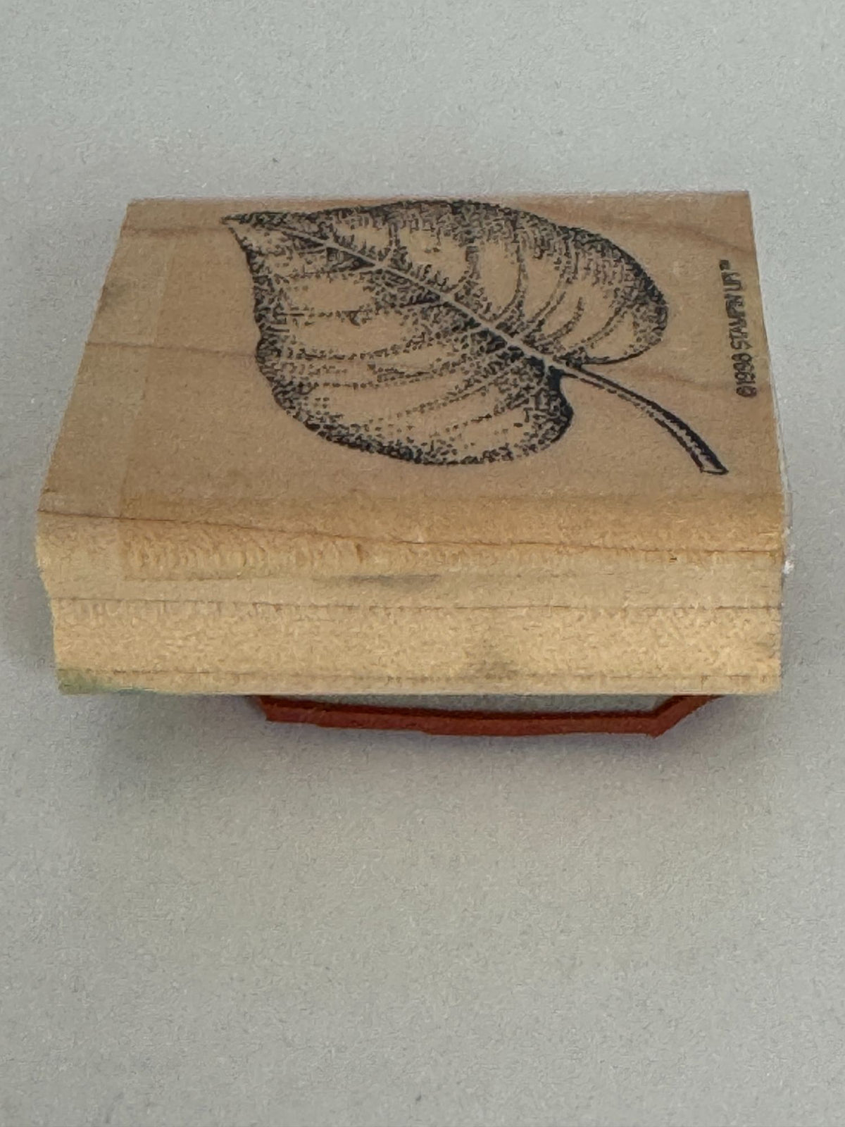 Stampin Up Rubber Stamp Fern Leaf Fall Foliage Nature Outdoors Card Making Craft