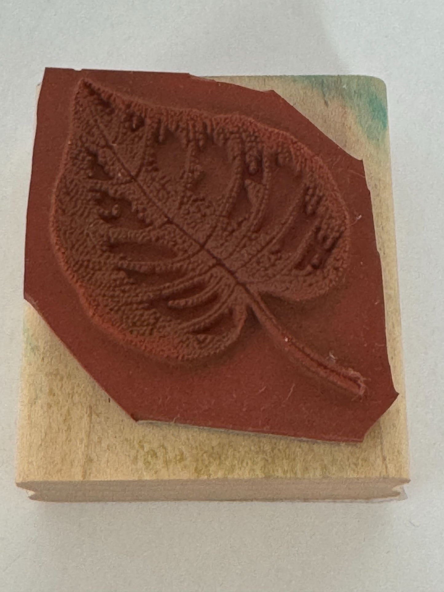 Stampin Up Rubber Stamp Fern Leaf Fall Foliage Nature Outdoors Card Making Craft