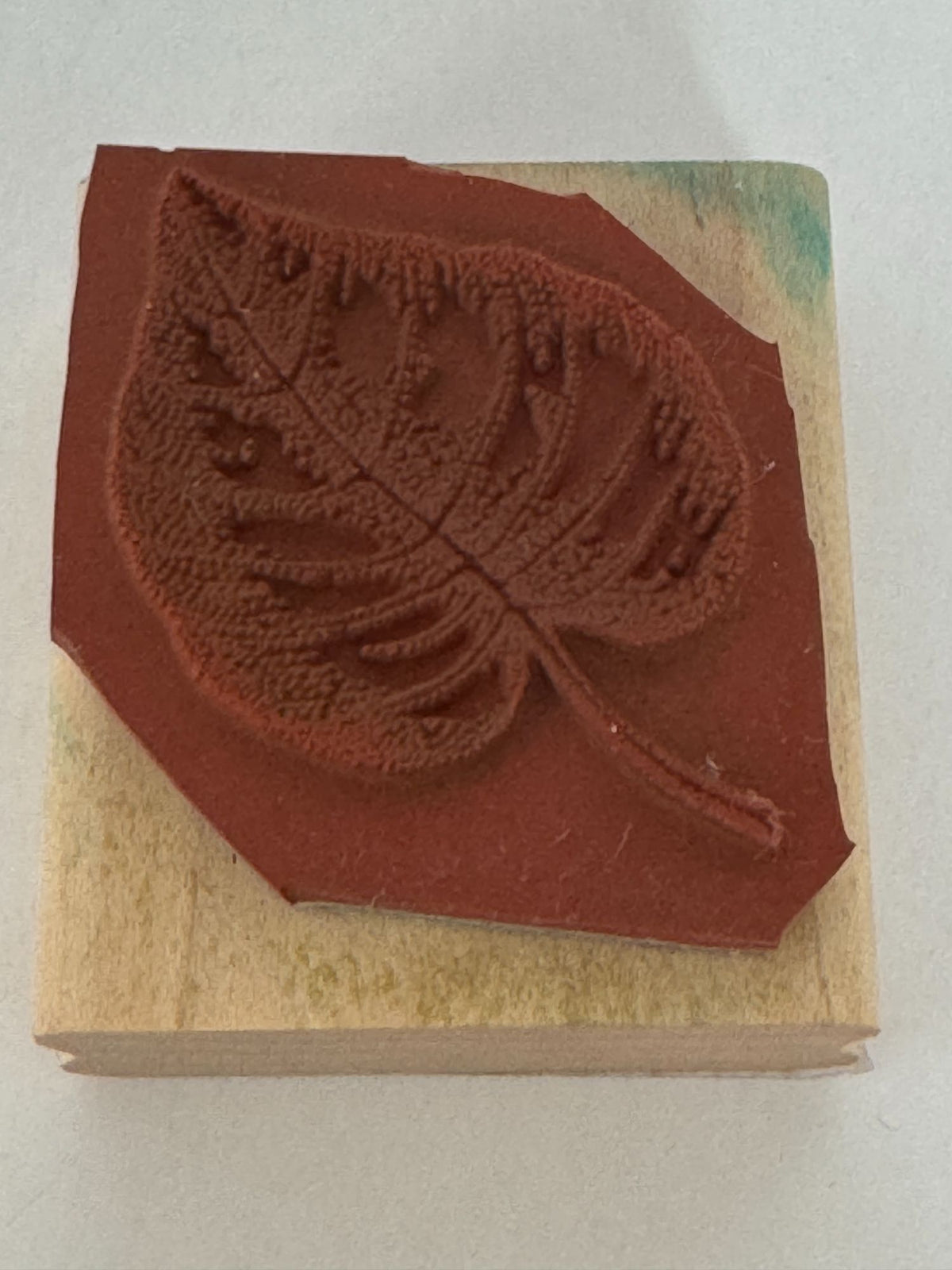Stampin Up Rubber Stamp Fern Leaf Fall Foliage Nature Outdoors Card Making Craft