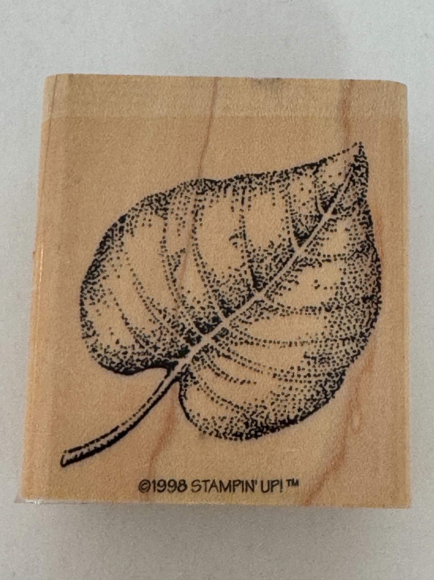 Stampin Up Rubber Stamp Fern Leaf Fall Foliage Nature Outdoors Card Making Craft