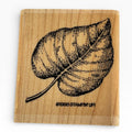 Stampin Up Rubber Stamp Elm Leaf Nature Outdoors Card Making Craft Wood Mounted