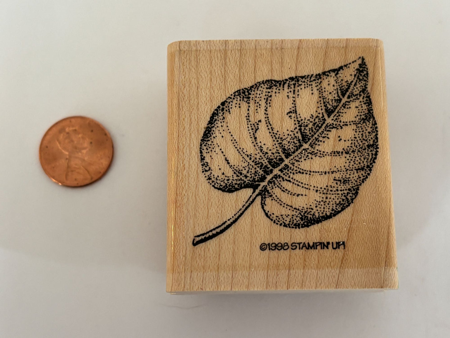 Stampin Up Rubber Stamp Elm Leaf Nature Outdoors Card Making Craft Wood Mounted
