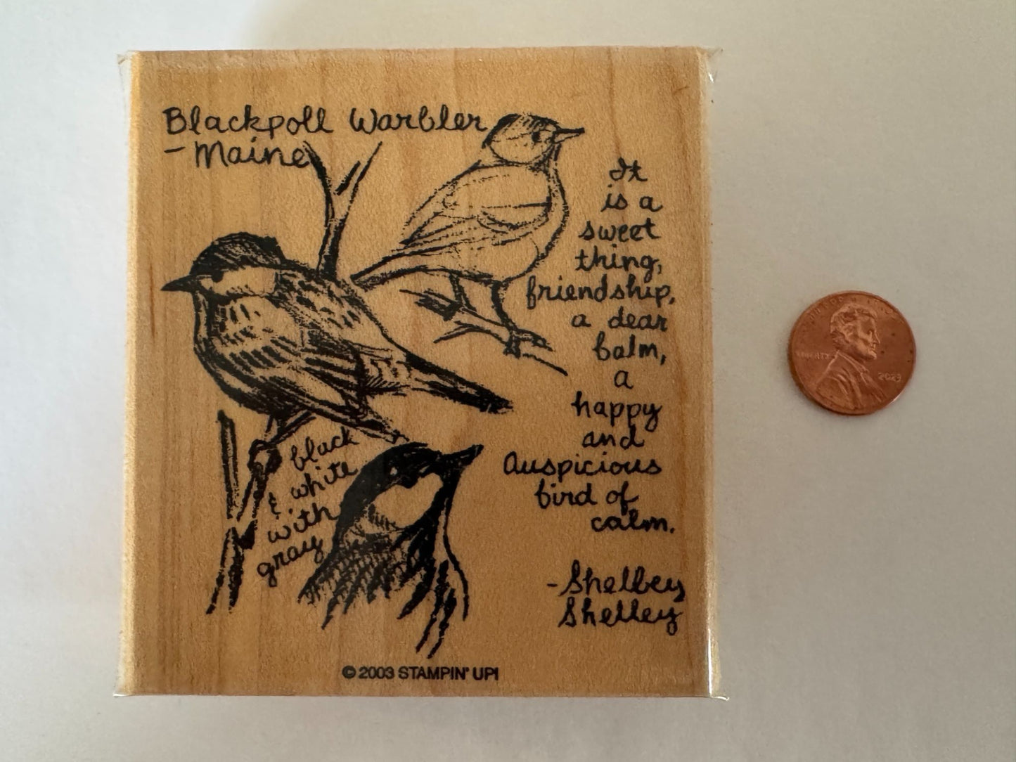 Stampin Up Rubber Stamp Blackpoll Warbler Bird Maine Friendship Card Making Word