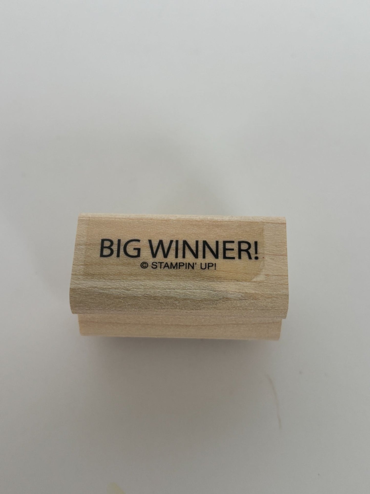 Stampin Up Rubber Stamp Big Winner Game Night Invitation Card Making Words Gamer