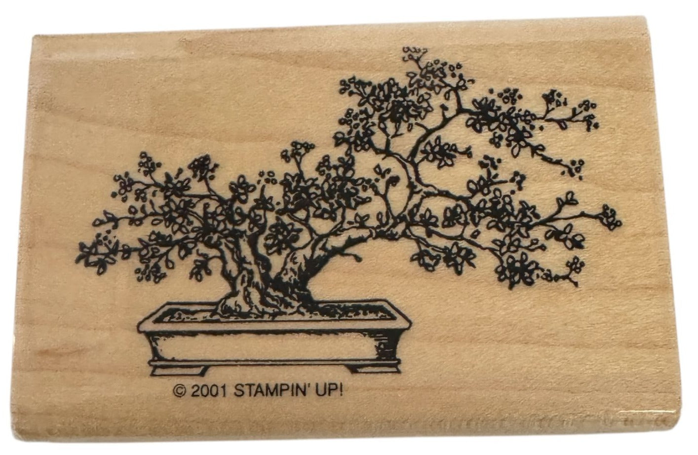 Stampin Up Rubber Stamp Bonsai Tree Asian Plant Cherry Blossom Card Making Craft
