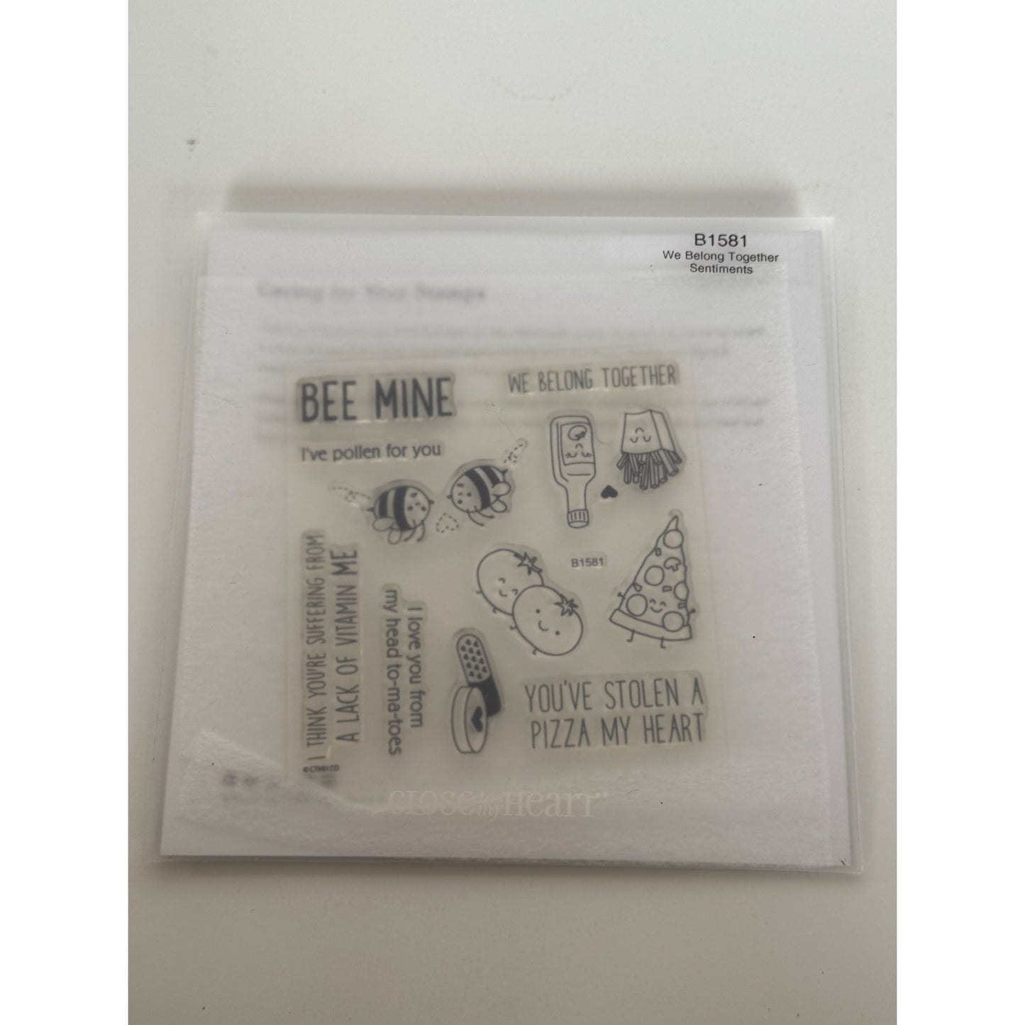 CTMH My Acrylix Acrylic Stamp Set We Belong Together Pizza Pun Vitamin Me Bees