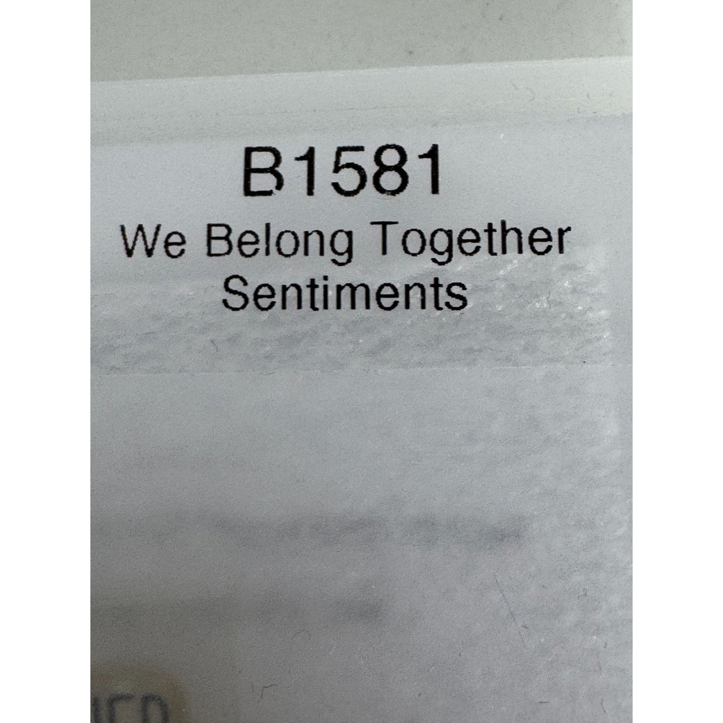 CTMH My Acrylix Acrylic Stamp Set We Belong Together Pizza Pun Vitamin Me Bees
