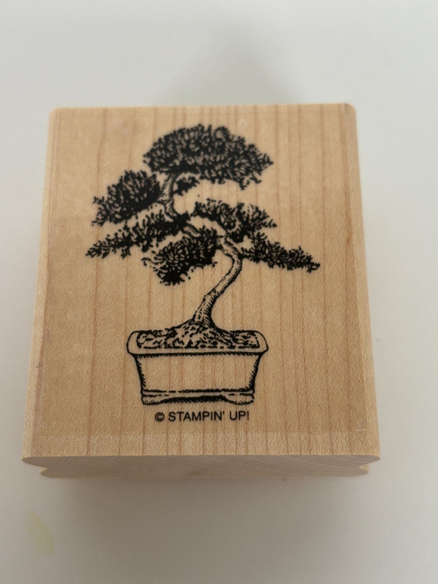 Stampin Up Rubber Stamp Bonsai Tree Plant Mom Dad Asian Theme Card Making Craft