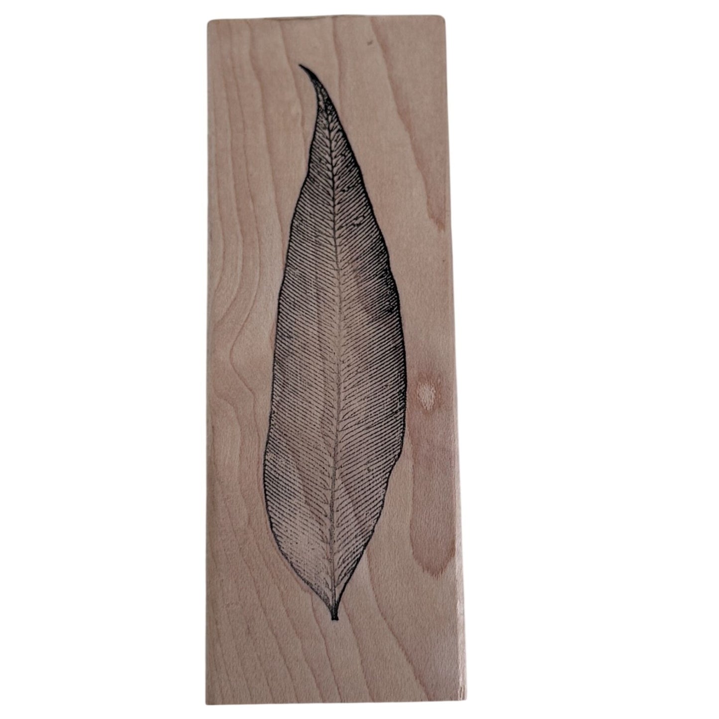 Paper Source Rubber Stamp Leaf Skinny Nature Botanical Boho Journal Craft Cardmaking Scrapbooking