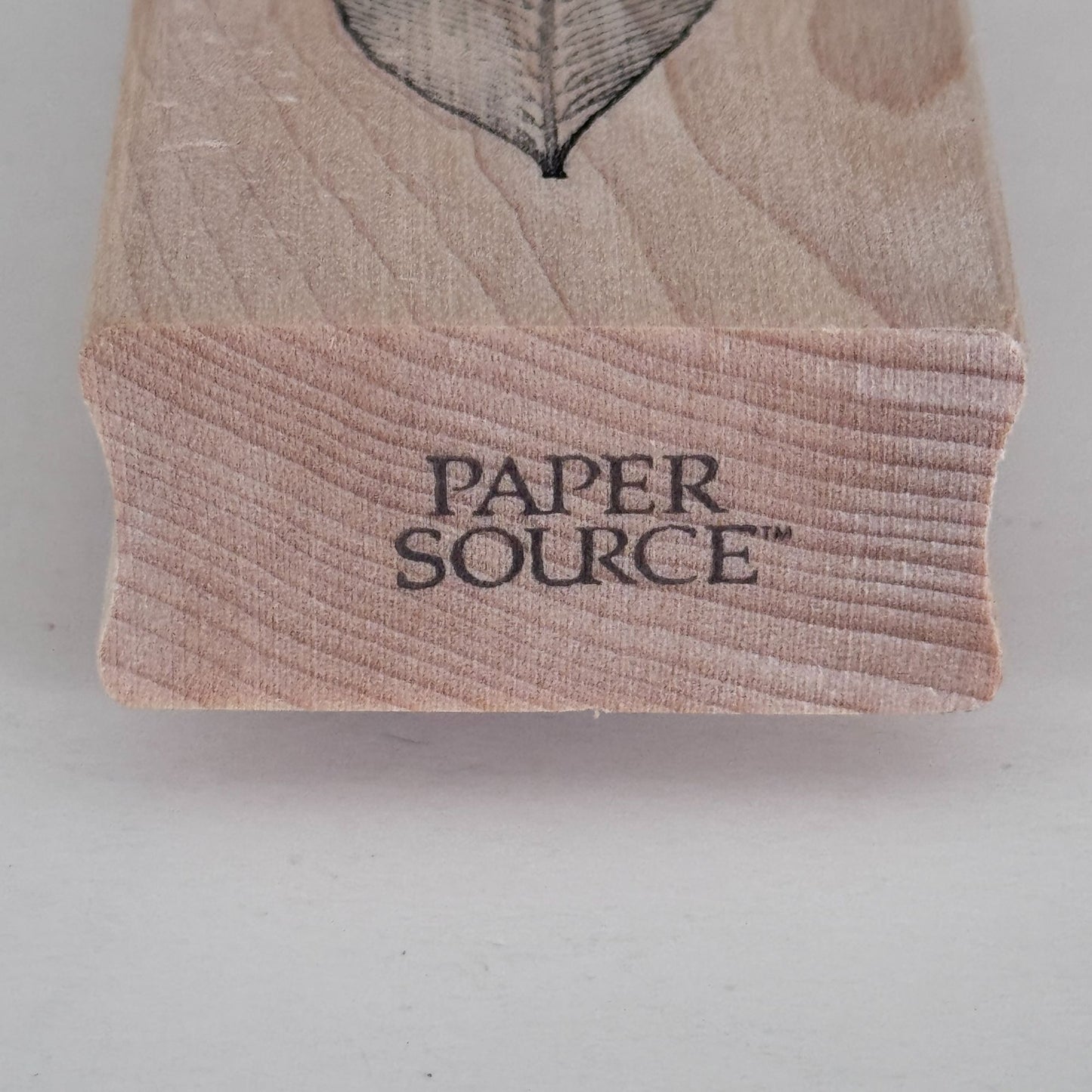 Paper Source Rubber Stamp Leaf Skinny Nature Botanical Boho Journal Craft Cardmaking Scrapbooking