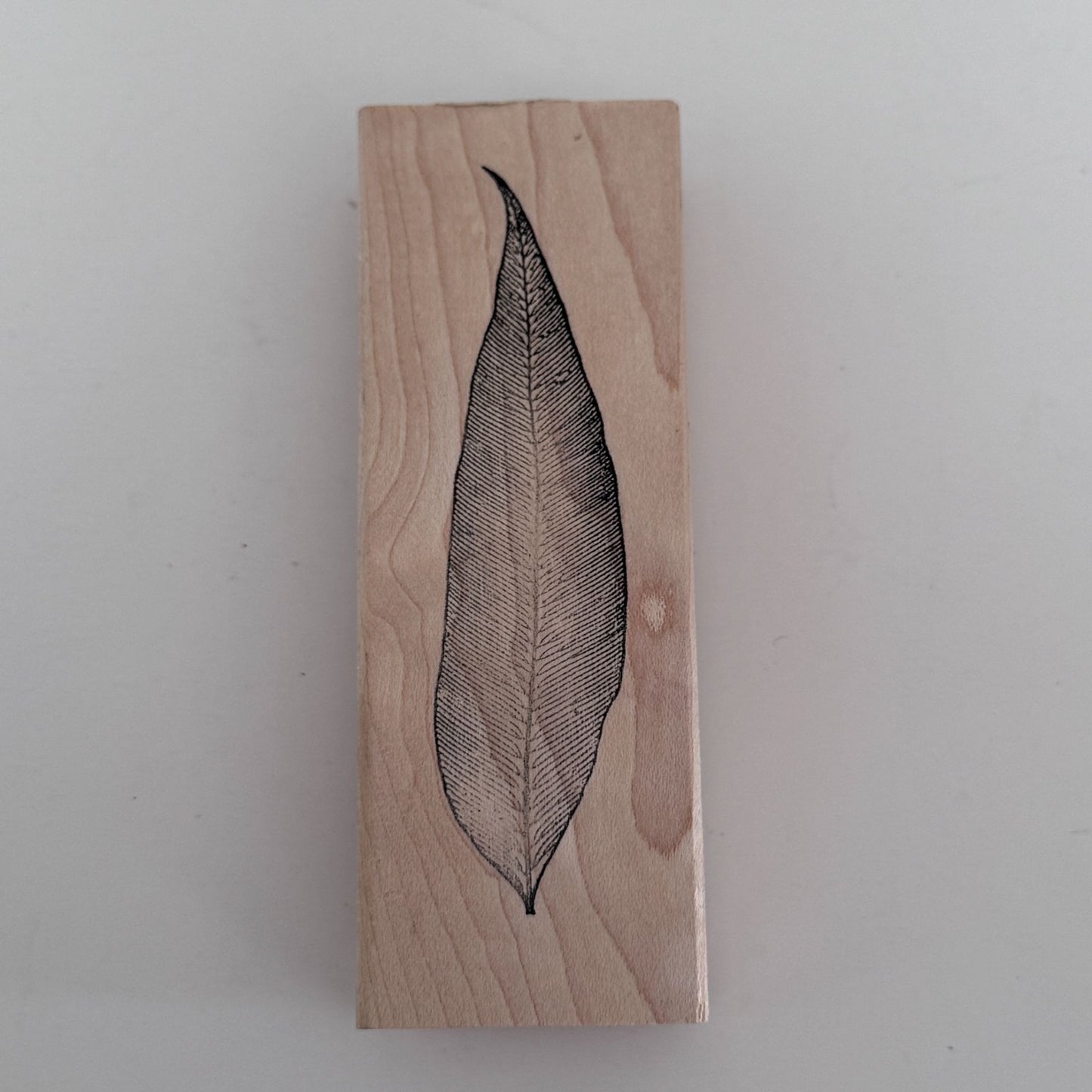 Paper Source Rubber Stamp Leaf Skinny Nature Botanical Boho Journal Craft Cardmaking Scrapbooking