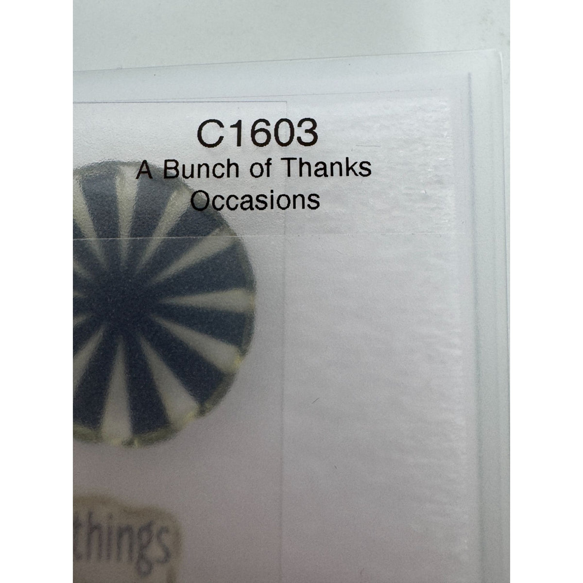 CTMH My Acrylix Acrylic Stamp Set A Bunch of Thanks Best Buds Flower Vase Pun