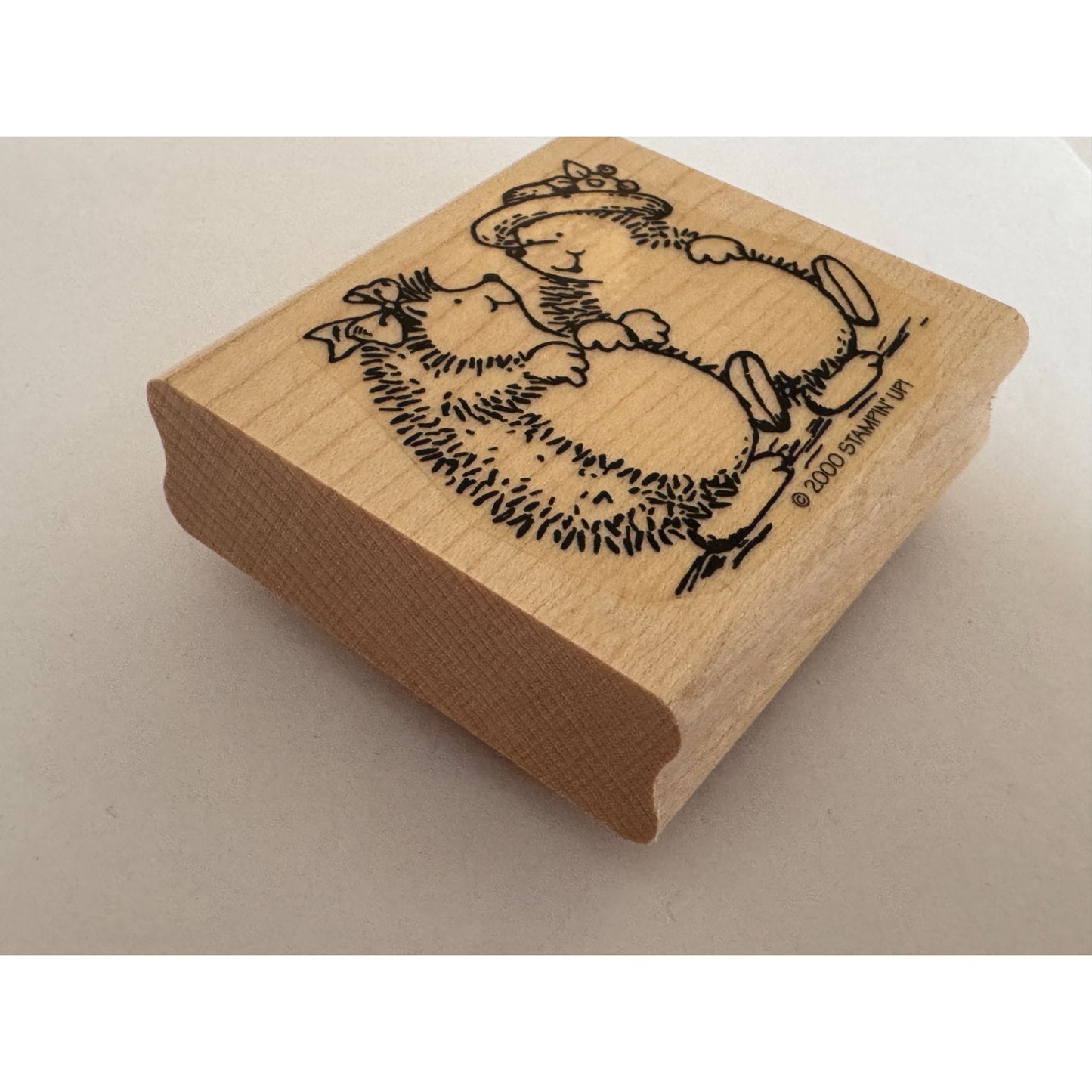 Stampin Up Rubber Stamp Hedgehog Friendship Card Making Friends Talking Walking