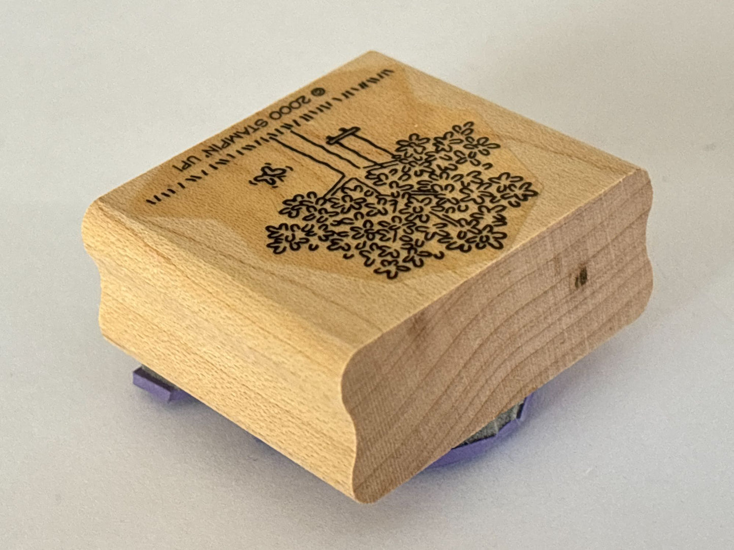 Stampin Up Rubber Stamp Tree Swing Butterfly Spring Season Nature Card Making