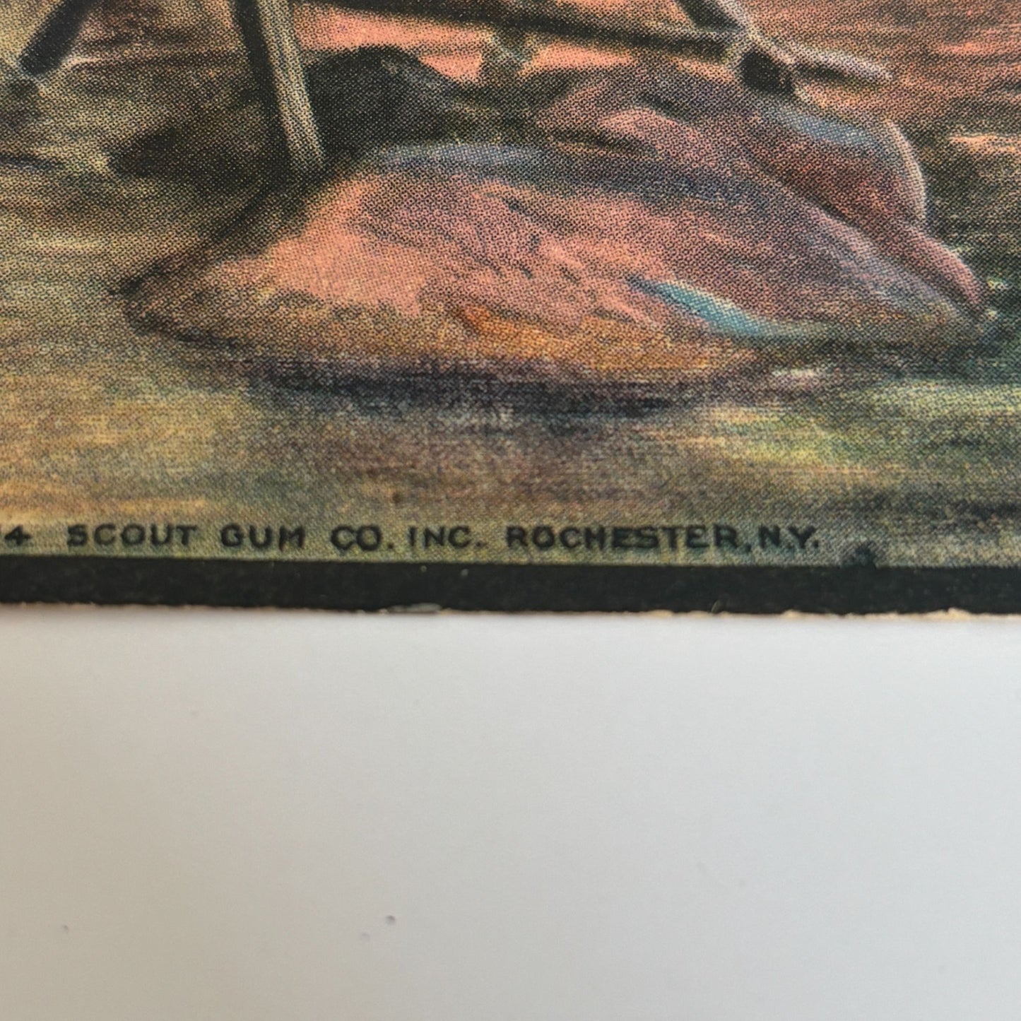 Boy Scout Gum Postcard Diving Board Swimming Hole Antique 1914 Collectible #2