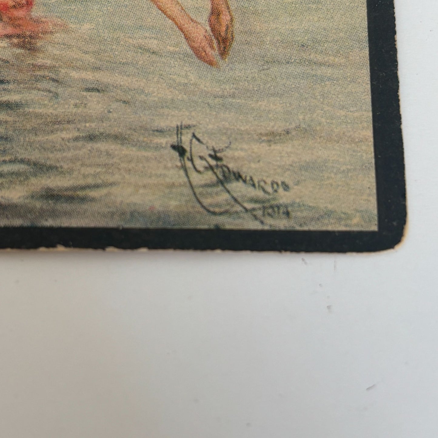 Boy Scout Gum Postcard Diving Board Swimming Hole Antique 1914 Collectible #2