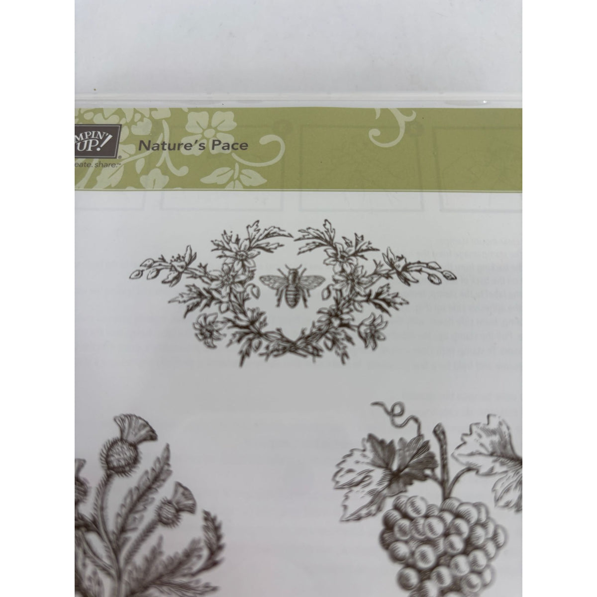Stampin Up Natures Pace Clear Mount Rubber Stamps Grapes Music Border Bee Set 6