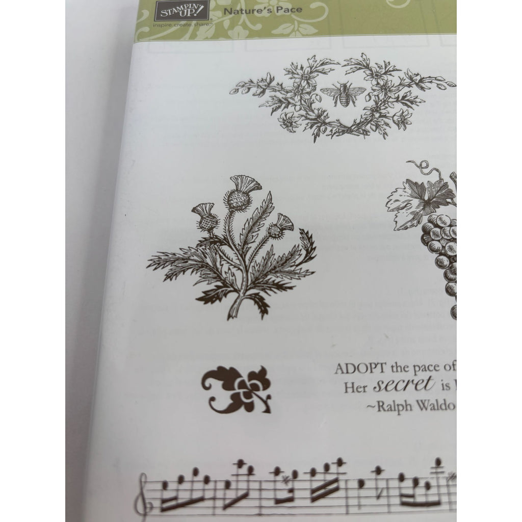 Stampin Up Natures Pace Clear Mount Rubber Stamps Grapes Music Border Bee Set 6