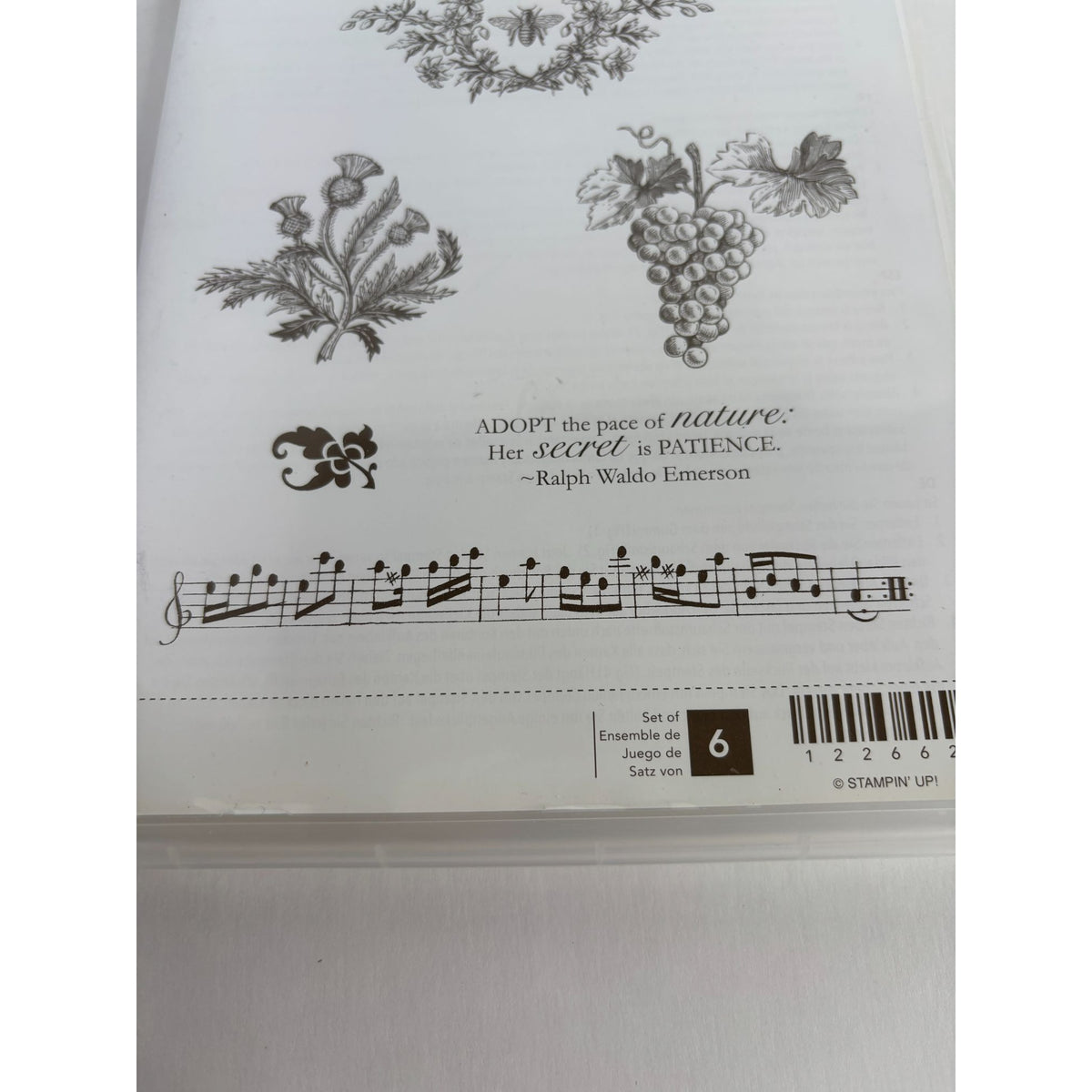 Stampin Up Natures Pace Clear Mount Rubber Stamps Grapes Music Border Bee Set 6
