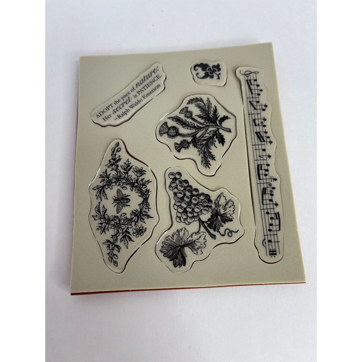Stampin Up Natures Pace Clear Mount Rubber Stamps Grapes Music Border Bee Set 6