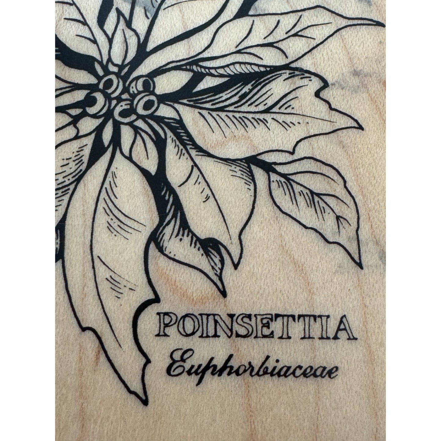 PSX Rubber Stamp Botanical Flowers Poinsettia Christmas Holiday Card Making K784