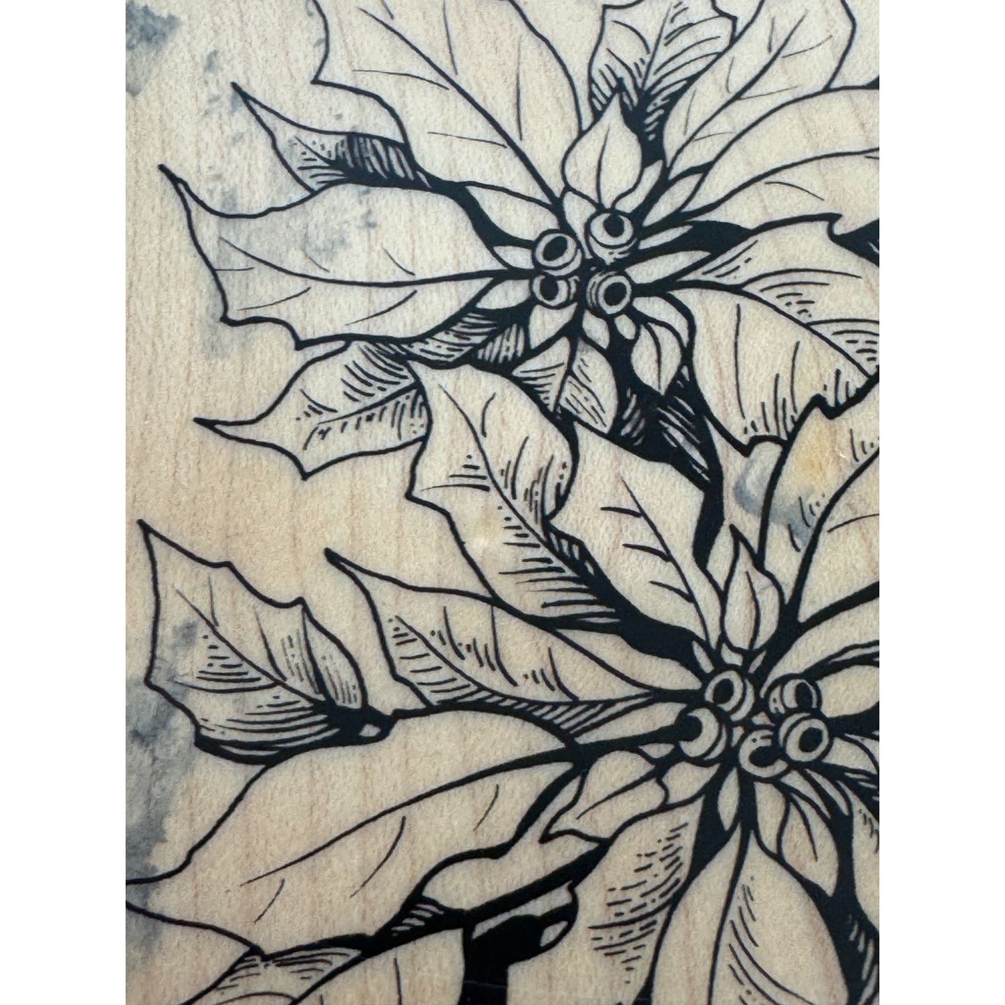 PSX Rubber Stamp Botanical Flowers Poinsettia Christmas Holiday Card Making K784