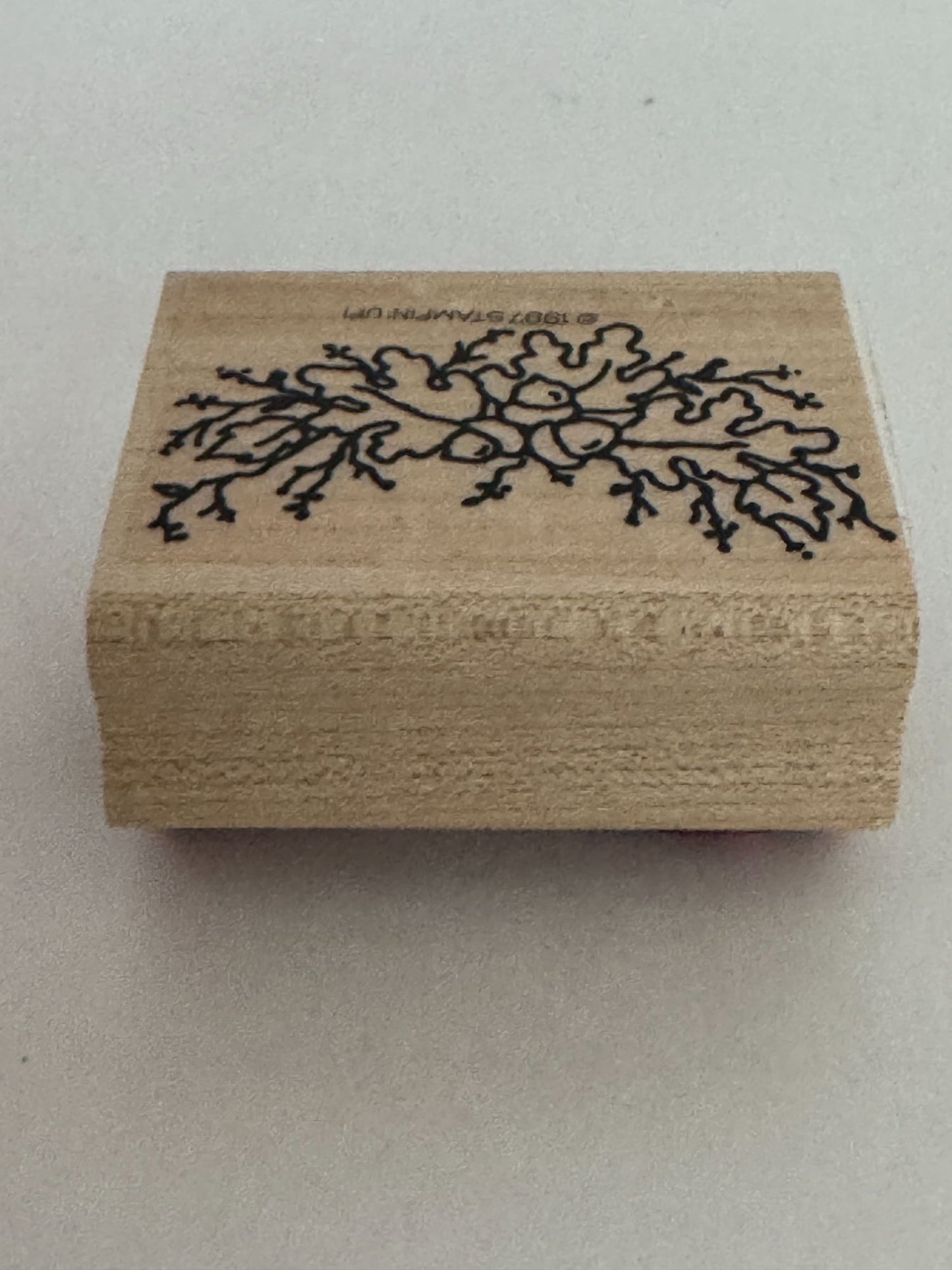 Stampin Up Rubber Stamp Acorn Oak Leaves Leaf Branch Fall Nature Card Making