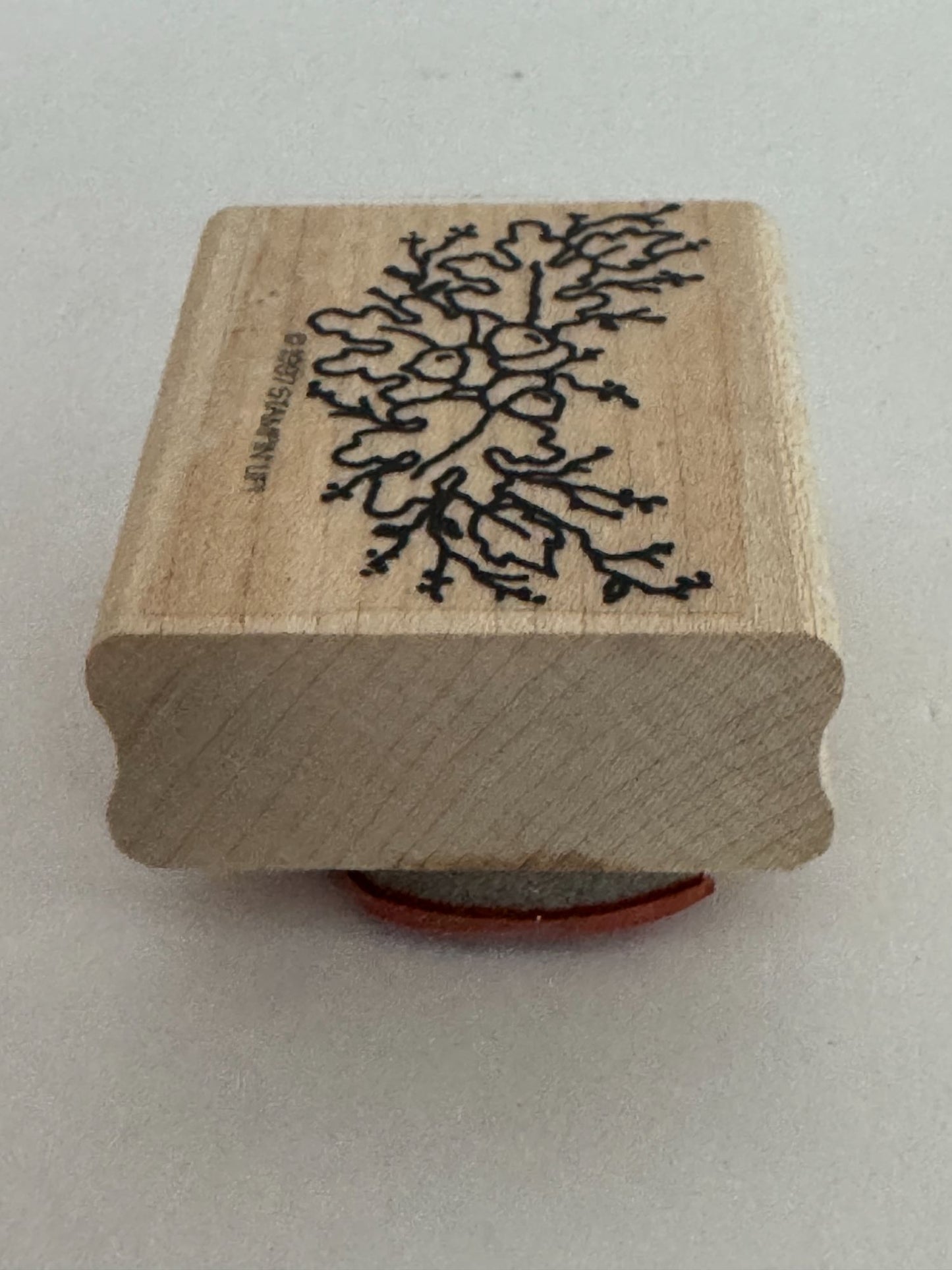 Stampin Up Rubber Stamp Acorn Oak Leaves Leaf Branch Fall Nature Card Making