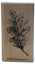 Stampin Up! Rubber Stamp Oak Leaf with Veins Nature Outdoors Fall Card Making