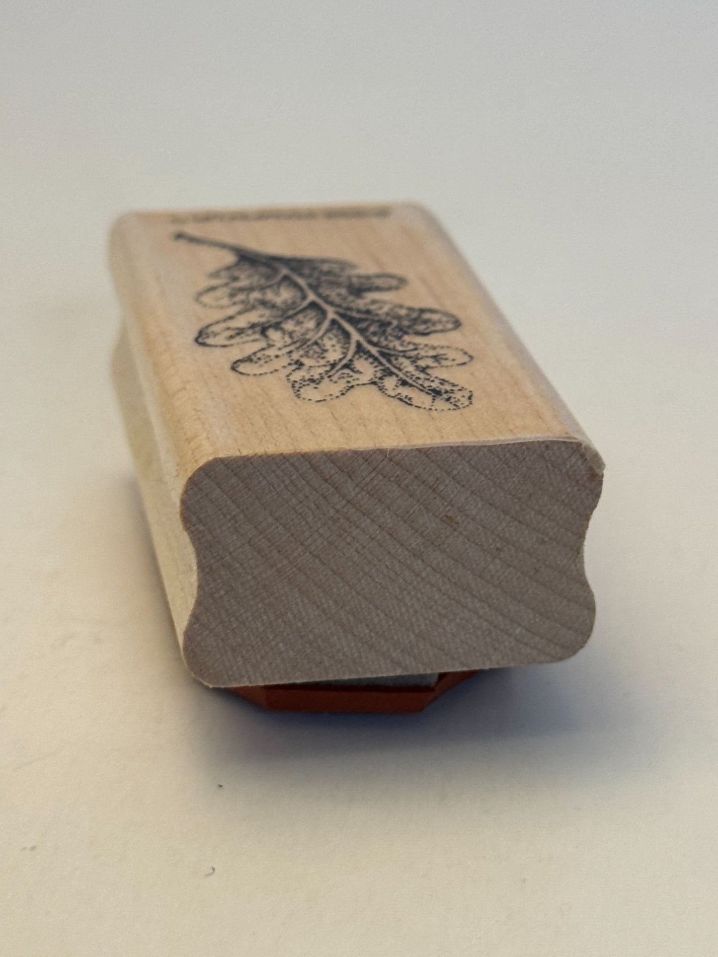 Stampin Up! Rubber Stamp Oak Leaf with Veins Nature Outdoors Fall Card Making