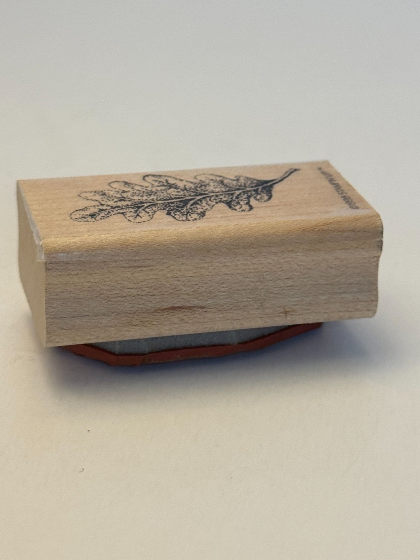 Stampin Up! Rubber Stamp Oak Leaf with Veins Nature Outdoors Fall Card Making