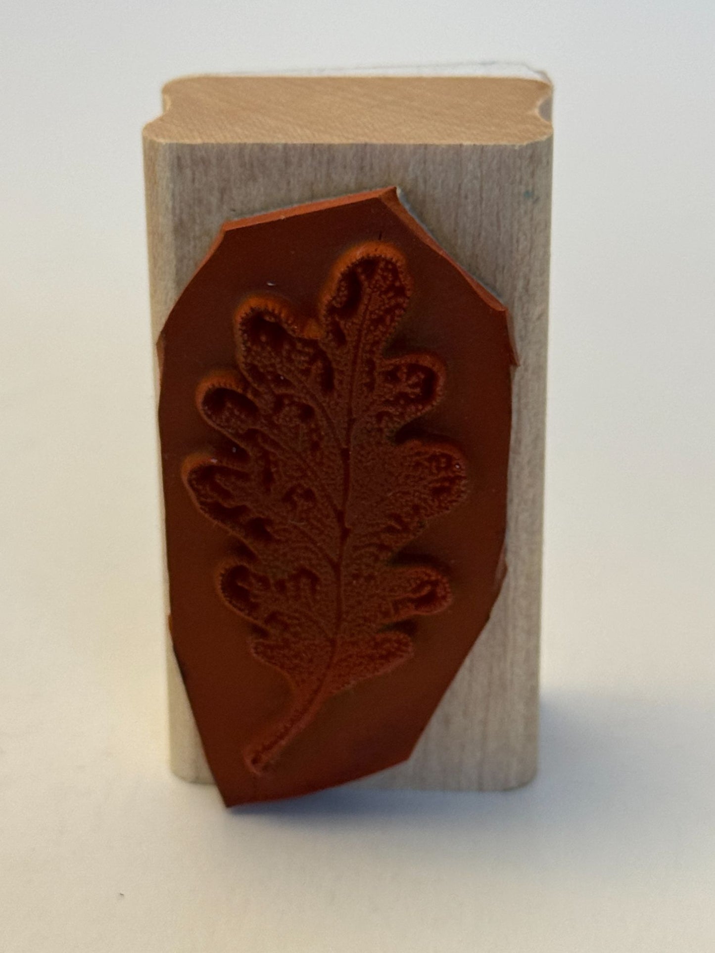 Stampin Up! Rubber Stamp Oak Leaf with Veins Nature Outdoors Fall Card Making