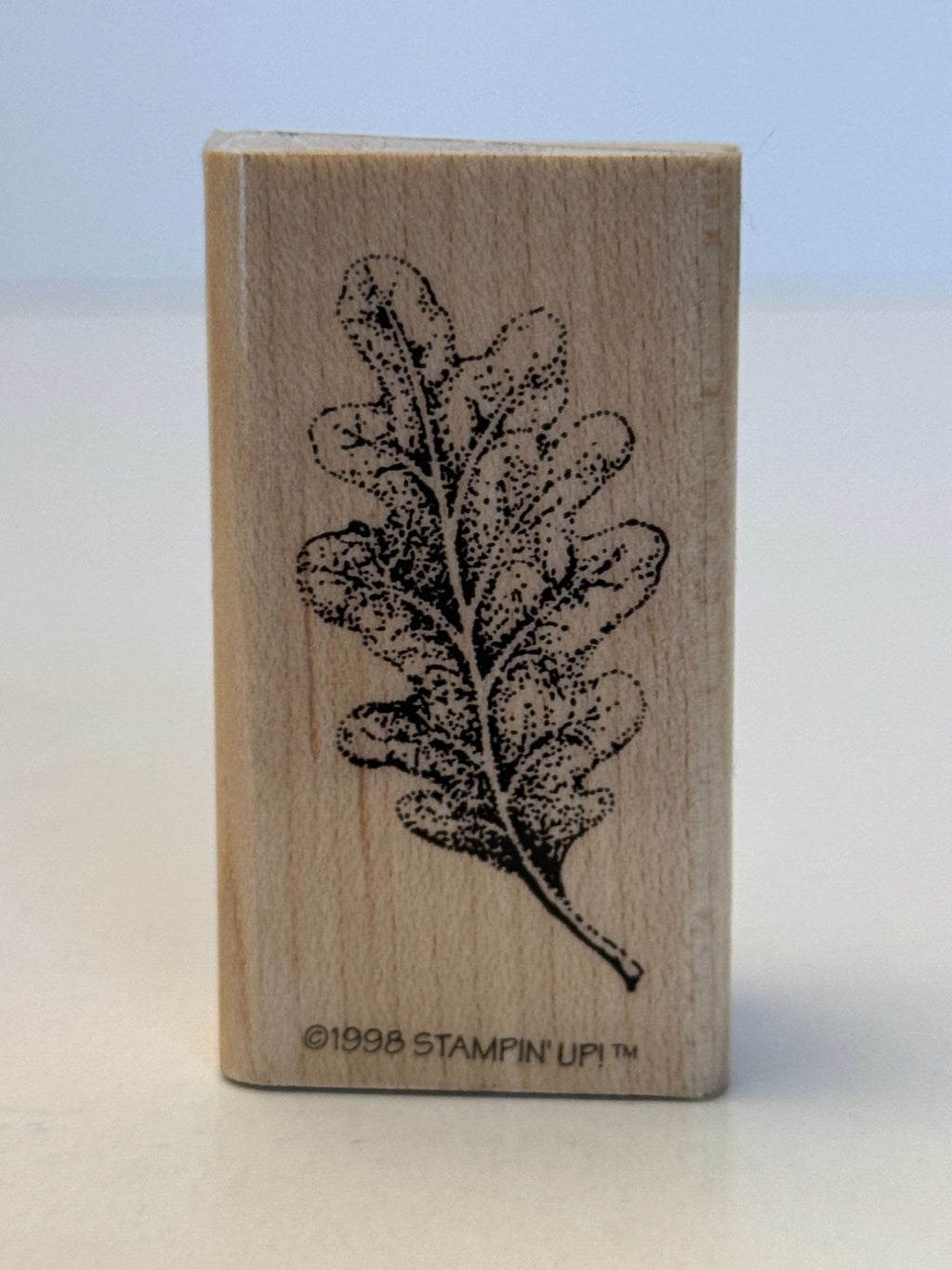 Stampin Up! Rubber Stamp Oak Leaf with Veins Nature Outdoors Fall Card Making