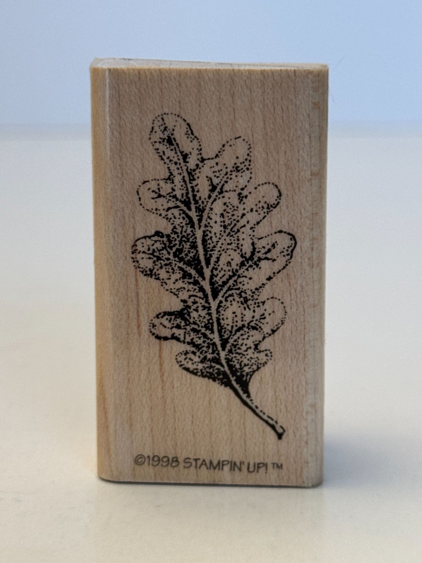 Stampin Up! Rubber Stamp Oak Leaf with Veins Nature Outdoors Fall Card Making