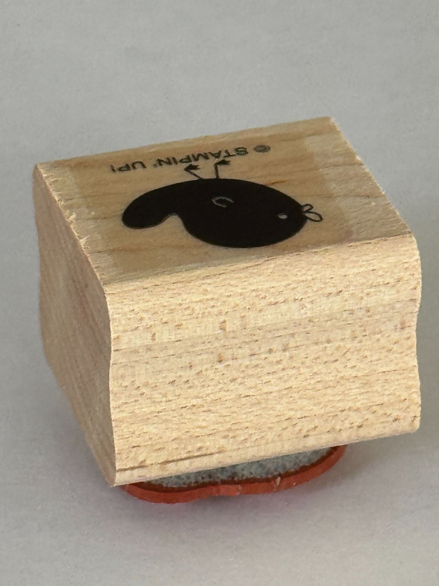 Stampin Up Rubber Stamp Bird Adorable Spring Nature Animal Card Making Small