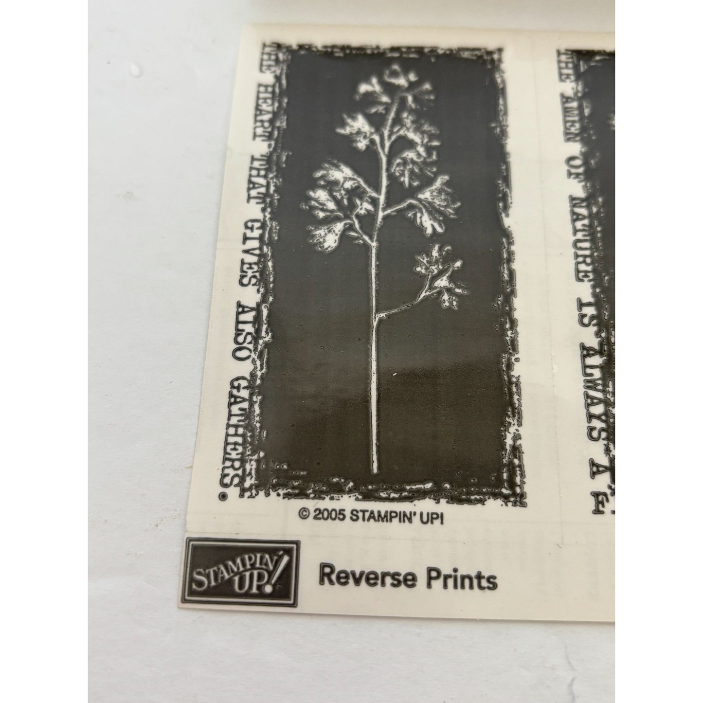 Stampin Up Rubber Stamp Reverse Prints Mother Teresa Quote Spread Love Amen Word
