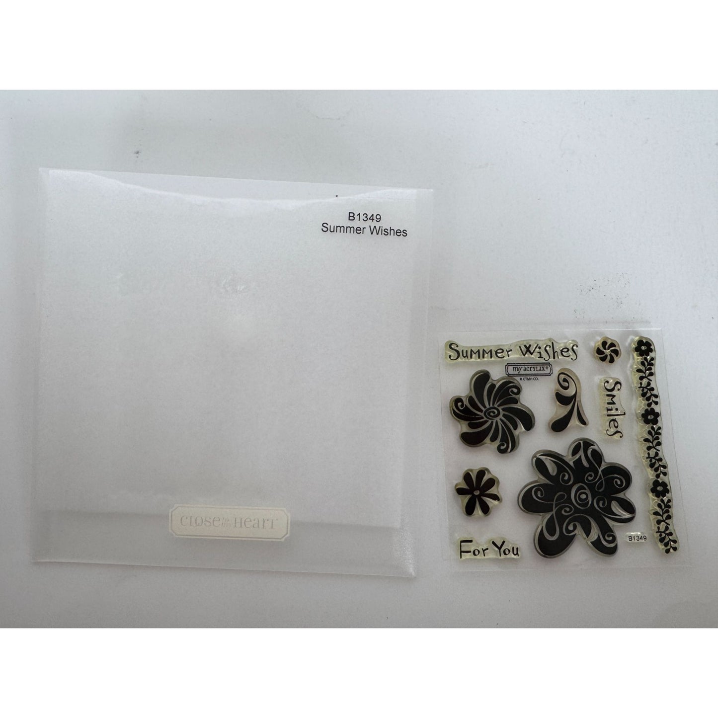 CTMH My Acrylix Acrylic Stamp Set Summer Wishes For You Flowers Floral Border