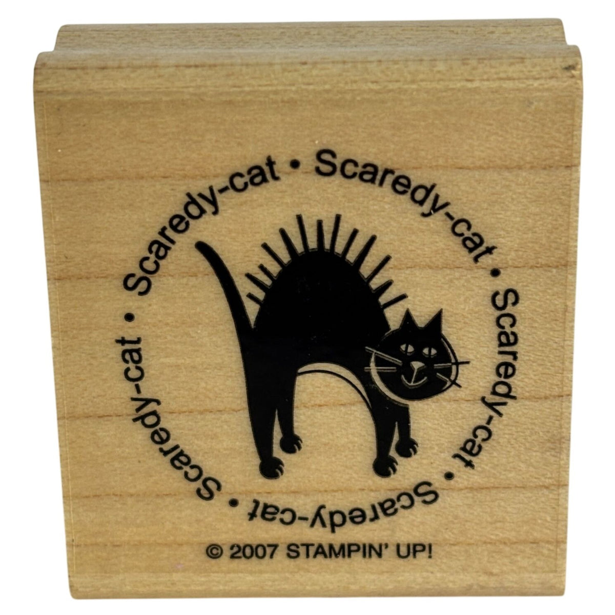 Stampin Up Rubber Stamp Scaredy Cat Halloween Circle Funny Cardmaking Sentiment Words Round Wooden
