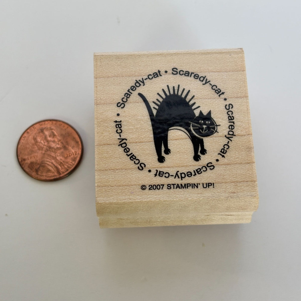 Stampin Up Rubber Stamp Scaredy Cat Halloween Circle Funny Cardmaking Sentiment Words Round Wooden