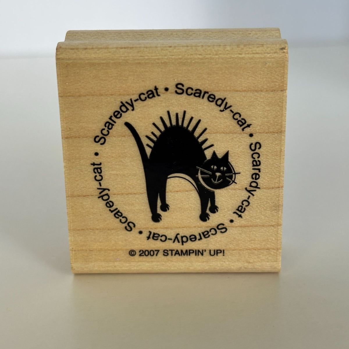 Stampin Up Rubber Stamp Scaredy Cat Halloween Circle Funny Cardmaking Sentiment Words Round Wooden