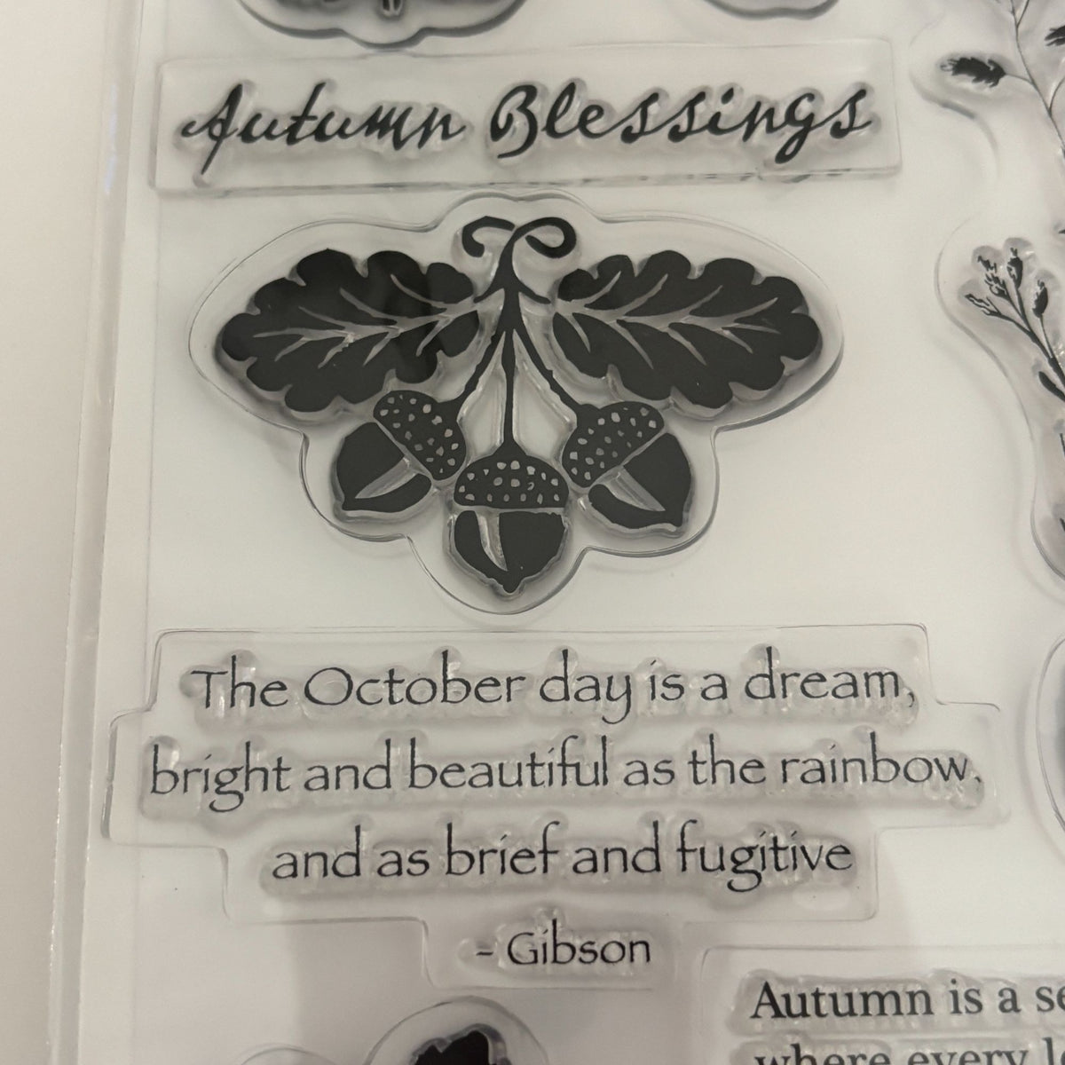 TPC Studio Clear Stamps Set Autumn Harvest Thanksgiving Fall Leaves Acorns Words Sentiments October