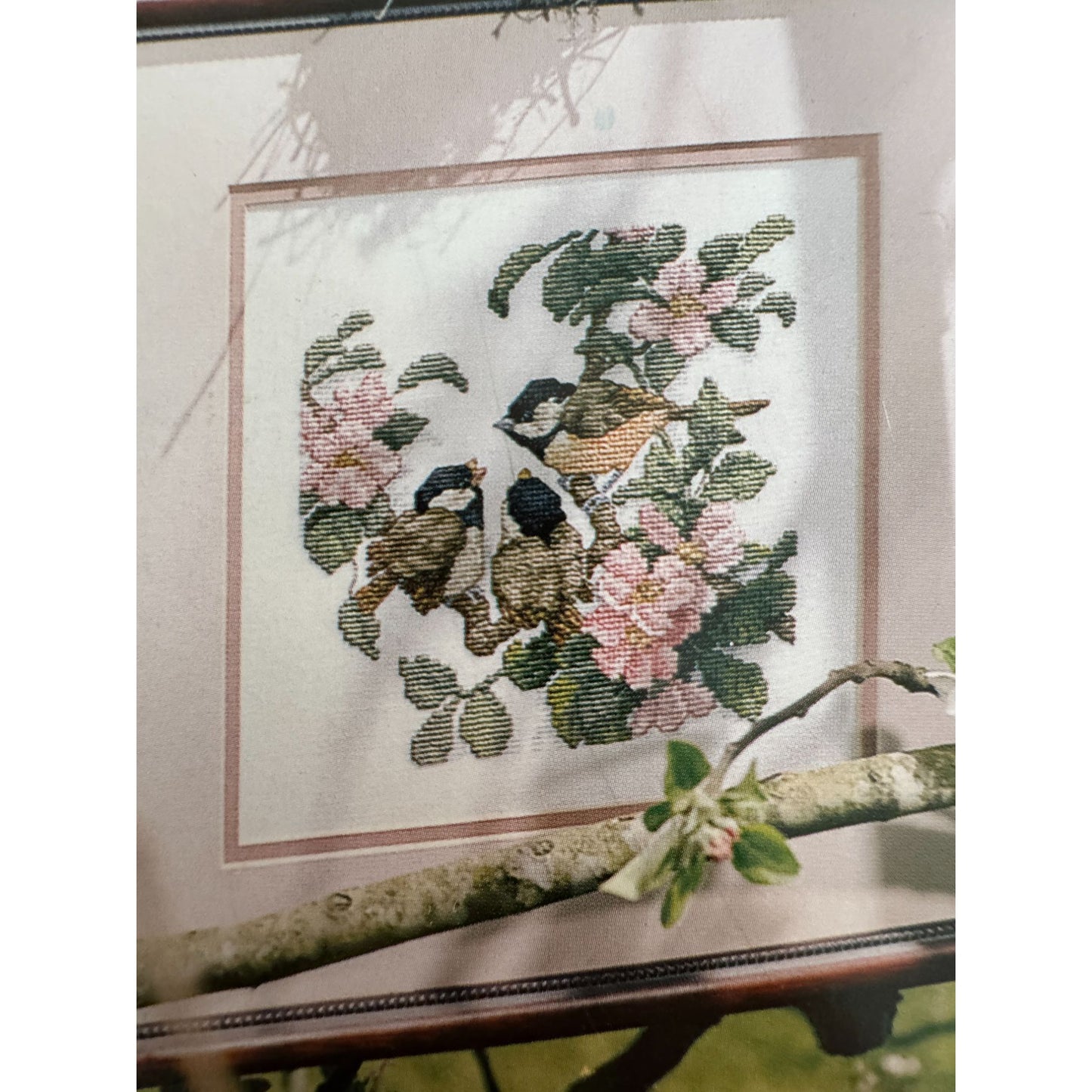 Leisure Arts Cross Stitch Pattern Booklet Favorite Perch Birds Cardinal Songbird