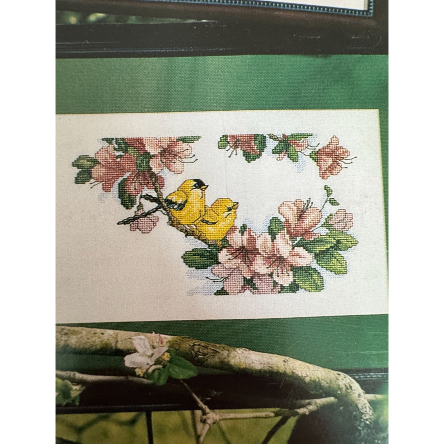 Leisure Arts Cross Stitch Pattern Booklet Favorite Perch Birds Cardinal Songbird