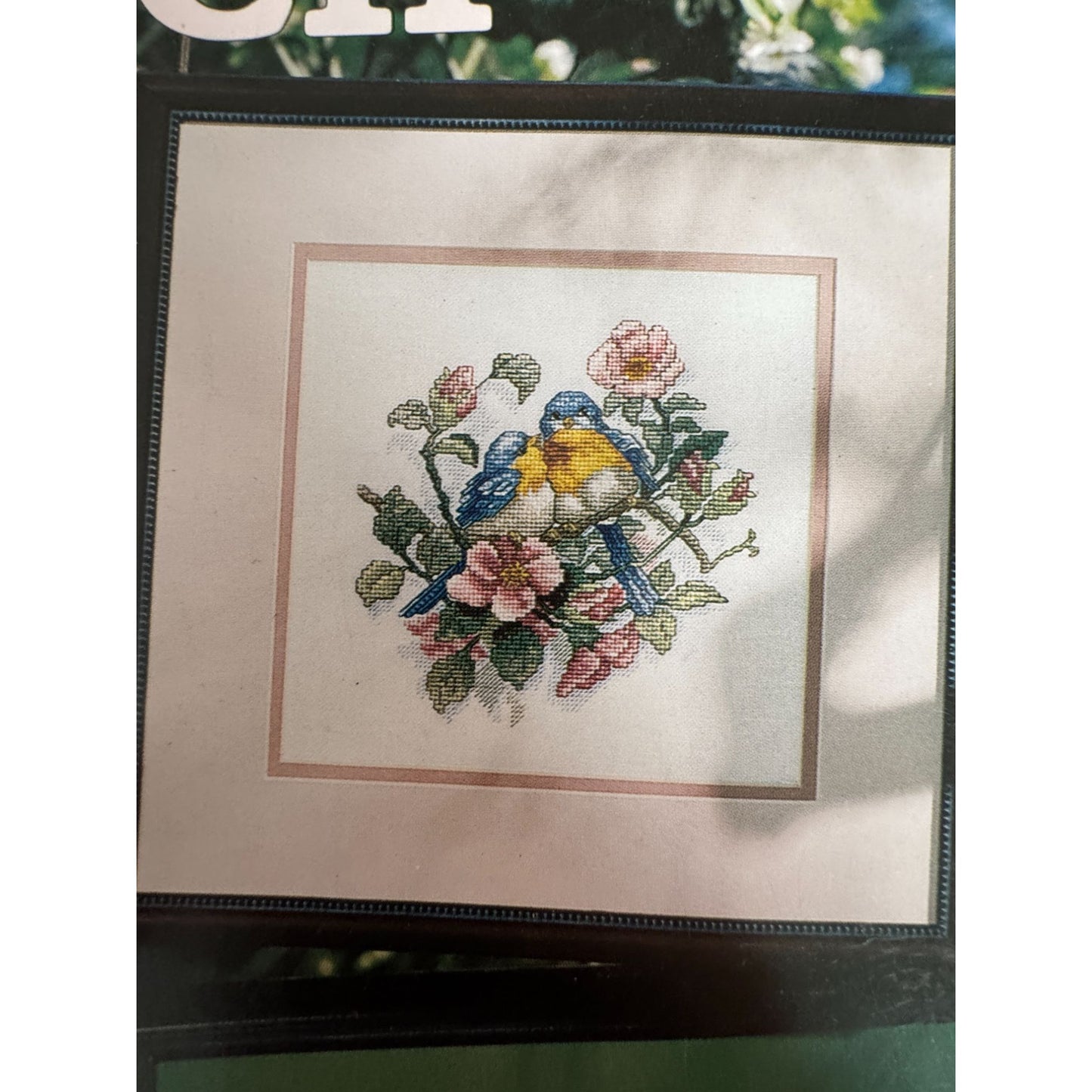 Leisure Arts Cross Stitch Pattern Booklet Favorite Perch Birds Cardinal Songbird