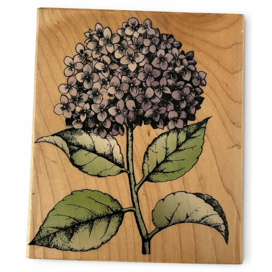 Hero Arts Rubber Stamp Hydrangea Bloom with Leaves Spring Garden Cardmaking Big